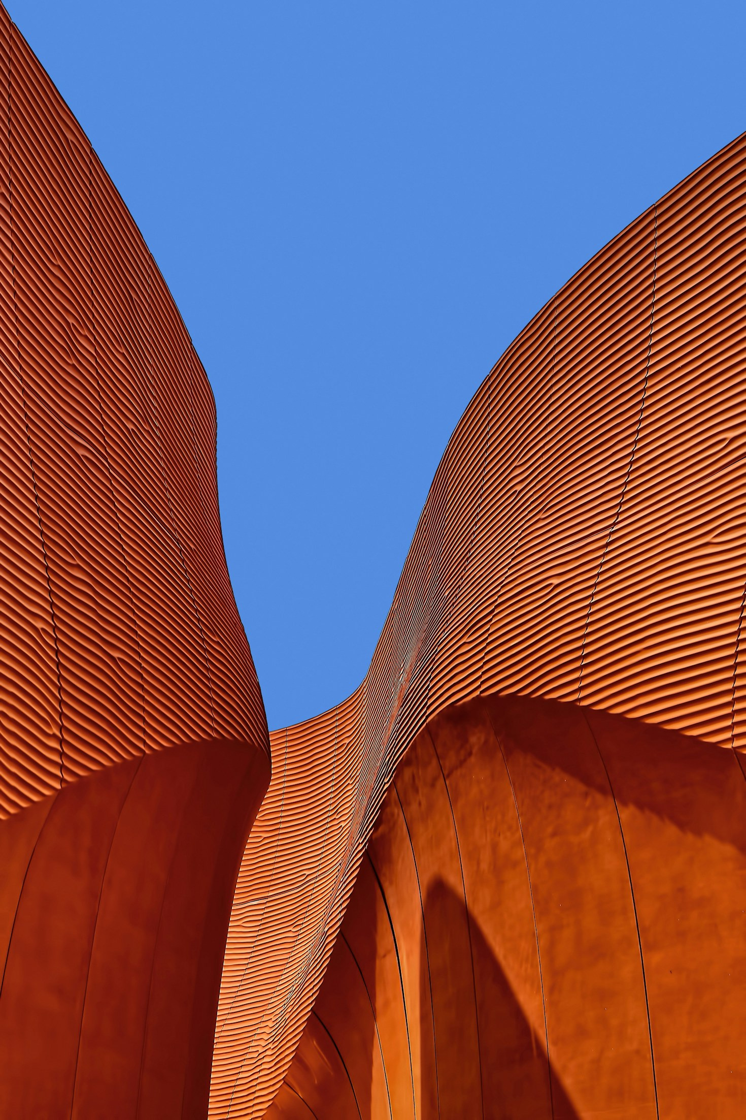 Naturwunder durch die Kamera entdecken